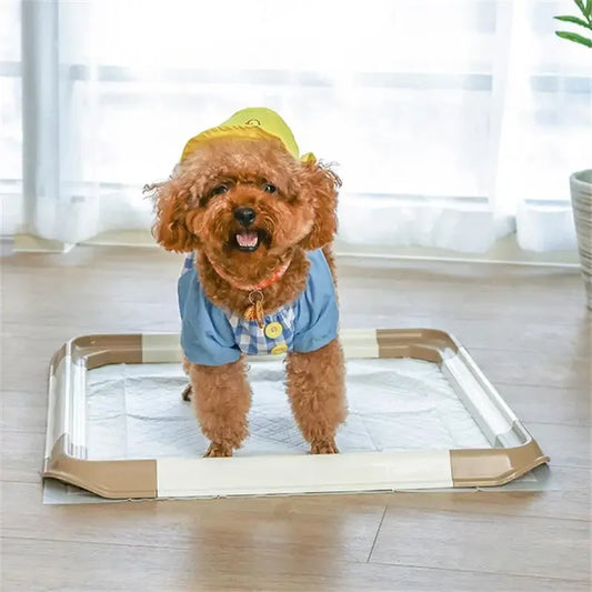 Toilettes portables pour animaux – Bac d'apprentissage avec plateau pour tapis absorbants