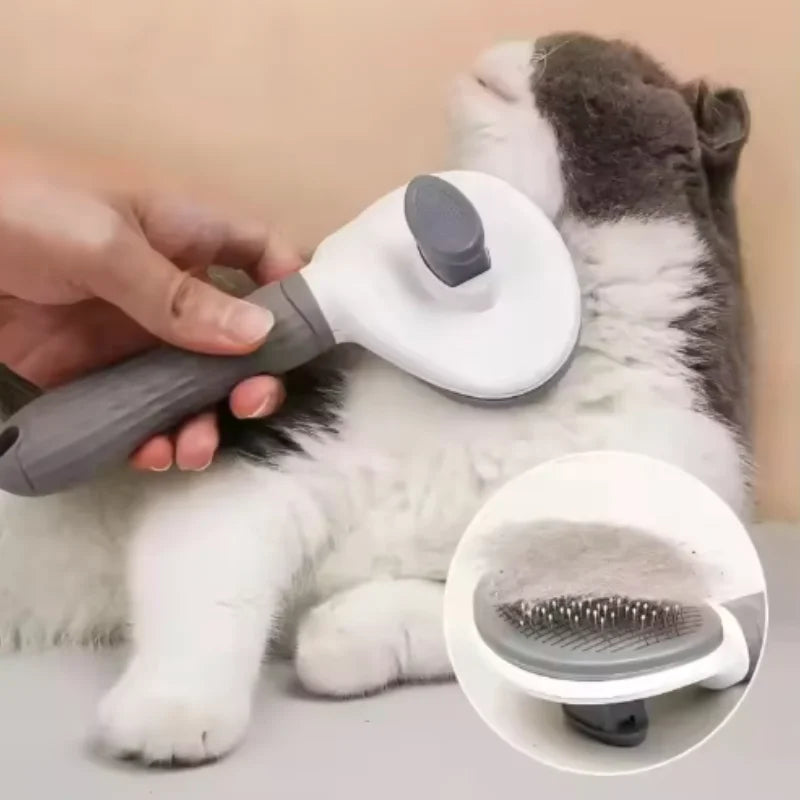 Brosse de toilettage professionnelle – Retrait des poils en un clic.