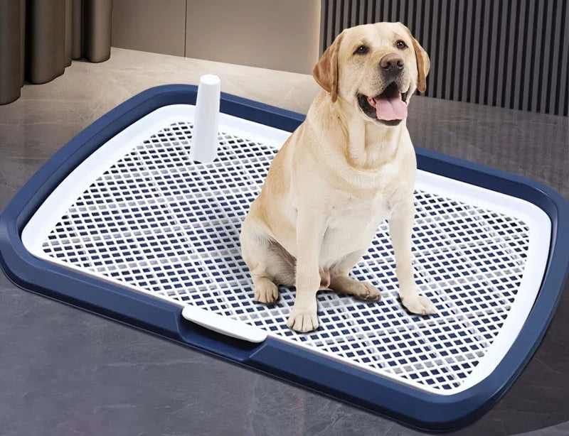 Toilettes d'intérieur pour chien – Support de tapis absorbant avec grille amovible