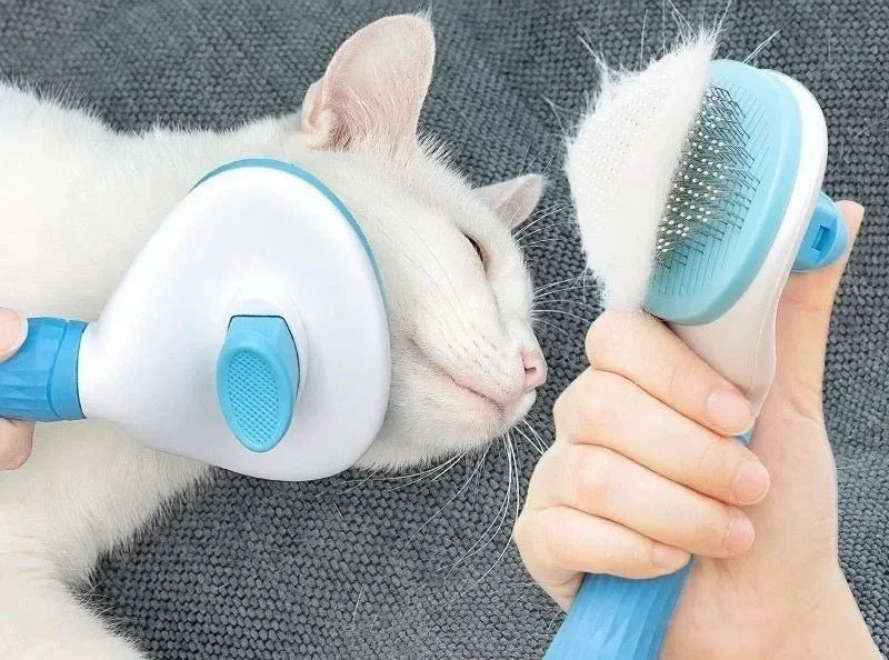 Brosse de toilettage