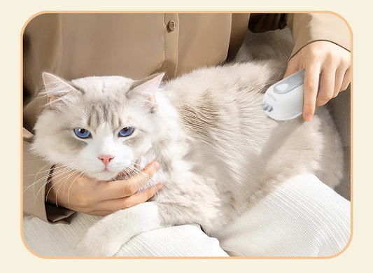 Brosse de toilettage électrique